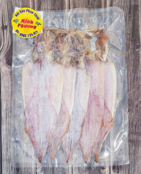 Giới thiệu về
